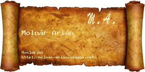 Molnár Arián névjegykártya